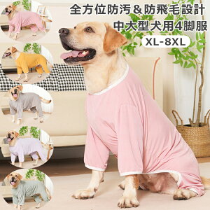 ybg  ^p l h~ єіh~  h    ΍ Ci[ ĕ 悯 N[ ڐG⊴ XL^CgX[c   hbOEFA ̕ ^CgX[c 