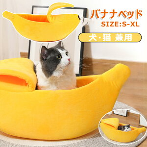 oiixbh Lp ybgxbh oii^ oii  ybgxbg L xbh NbV  LnEX ybgnEX Lp p ybgp xbh 􂦂 g h ~ 