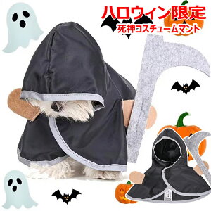 nEB Lp _RX`[ }g L  nEB ybg }g ybg RXvߑ ^ RX`[  ϑ Lybg ptH[}XRX`[ 