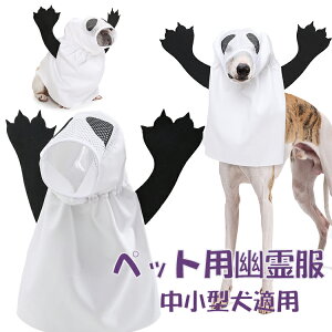 ybg RXvߑ H RX`[ ybg̃nEBRX`[ nEB[̃S[Xg RX`[ ybgnEB[ ߑe[}p[eB[L̎ʐ^ nEB 