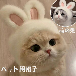 ybgpXq RXv Lp p ^ Ԃ蕨 ybgpi   ETM e  Lbv  킢 {A ӂӂ h  nEB Cxg p[eB Be 