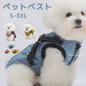 ybg H~ WPbg   n[lXt h o U ȓ Ȃ L  DJt _EWPbg xXg h g  킢  ₦΍ n[lX x