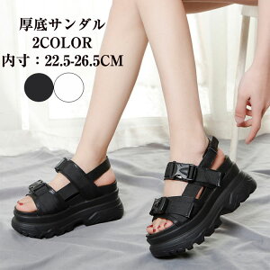 fB[X T_ }WbNe[v ~ C  V[Y Xj[J[ ʋC  r[`T_ ItBX ʋ X|[cT_ r Ȃ AEghA ʊw X|T JW