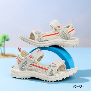 r[`T_ j̎q X|[cT_ T_ 傫TCY ̎q ANAV[Y T}[V[Y V[Y WjA LbY q y AEghA T_ ₷ ʊw  