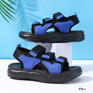 T_ q y r[`T_ j̎q X|[cT_ 傫TCY ̎q ANAV[Y T}[V[Y V[Y WjA LbY AEghA T_ ₷ ʊw  