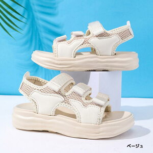 T_ q y r[`T_ j̎q X|[cT_ 傫TCY ̎q ANAV[Y T}[V[Y V[Y WjA LbY AEghA T_ ₷ ʊw  