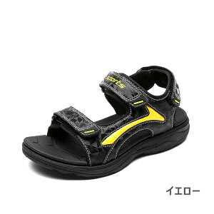 q V[Y p T_ X|[cT_ j̎q 傫TCY ̎q r[`T_ ANAV[Y T}[V[Y WjA LbY ܐ y AEghA T_ 