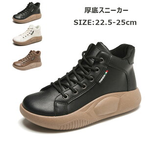 Xj[J[ gUP Xj[J[ fB[XpvX O nCJbgXj[J[ ^C u[c fB[X  Xb| [XAbvu[c h y r EhgD 