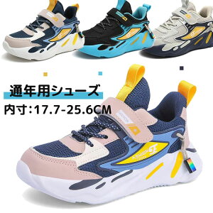 LbYV[Y ^C Xj[J[ j̎q T_ 傫TCY X|[c V[Y V[Y WjA q y LbY q C qC y ʊwC XN[ X|[c v[g ʉ 