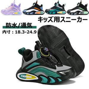 LbY ̈كV[Y ^C y ~ X|[cV[Y ʊwC  xr[V[Y Ԃ C bV ʋC  V[Y ^ ʊw ʉ V av[g X