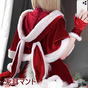 fB[X T^ ߑ et |` V[g }g P[v t[ht  킢 NX}X ߑ T^ RXv ZNV[ T^N[X Ch Christmas RX`[ 