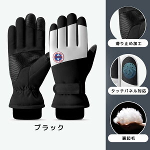 AEghAO[u hO[u N VT[g ^b`plΉ ϖ ~ h h ۉ ] TCNO[u oR/ʋ/ʊw/jp h ^b`plΉ T