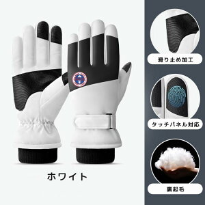 AEghAO[u hO[u N VT[g ^b`plΉ ϖ ~ h h ۉ ] TCNO[u oR/ʋ/ʊw/jp h ^b`plΉ T