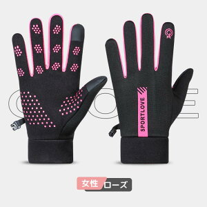 AEghAO[u hO[u N VT[g ^b`plΉ ϖ ~ h h ۉ ] TCNO[u oR/ʋ/ʊw/jp h ^b`plΉ T