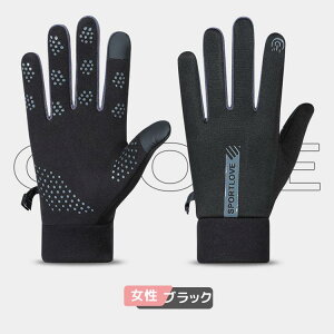 AEghAO[u hO[u N VT[g ^b`plΉ ϖ ~ h h ۉ ] TCNO[u oR/ʋ/ʊw/jp h ^b`plΉ T