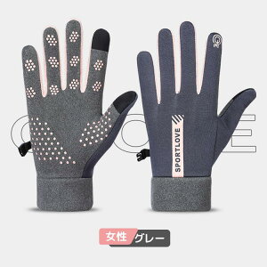 AEghAO[u hO[u N VT[g ^b`plΉ ϖ ~ h h ۉ ] TCNO[u oR/ʋ/ʊw/jp h ^b`plΉ T