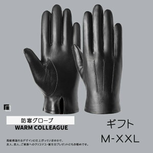 AEghAO[u hO[u N VT[g ^b`plΉ ϖ ~ h h ۉ ] TCNO[u oR/ʋ/ʊw/jp h ^b`plΉ T