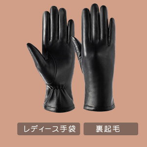 AEghAO[u fB[X hO[u N VT[g  ^b`plΉ ϖ ~ h h ۉ ] TCNO[u oR/ʋ/ʊw h ^b`p