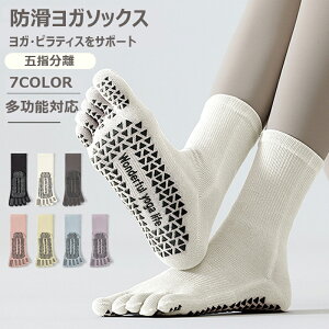 C fB[X K\bNX 5{w ~ 5{w\bNX ig Ƃ seBX t  H C O  ȍ X|[c  K jO\bNX X|[c\bNX 