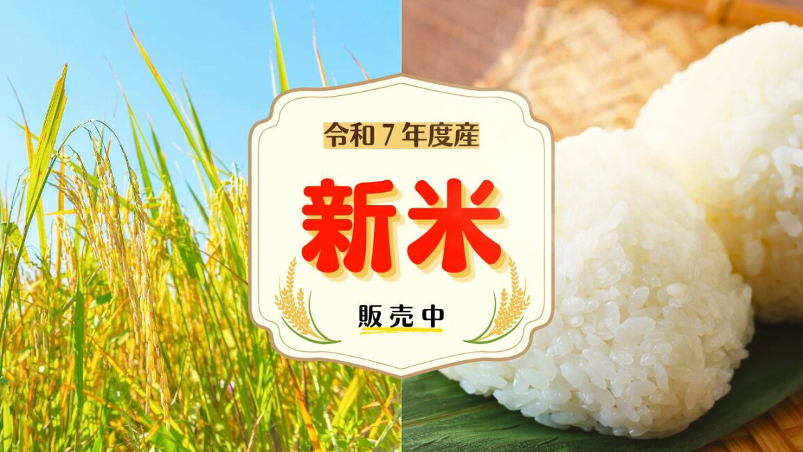 楽天市場 | 甘酒 ビスコッティ 高千穂ムラたび - 【令和7年度産新米 