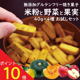 【5のつく日！ P13倍確定+最大30％OFFクーポン配布中！】グルテンフリー 無添加 米粉 クッキー ビスコッティ お菓子 子ども ヘルシー おやつ 高千穂ムラたび 40g 4袋 メール便 母の日