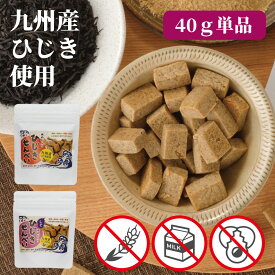砂糖不使用 お菓子 アレルギー対応 無添加　米ぬか・米粉 ひじきせんべい 子供 40g 1袋