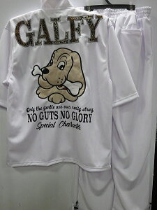 GALFY qEؑ֔W[W㉺Zbg@KtBysiz