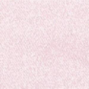 ܂ݍ׍HpJbgς݃Ten@PF [TM-4 (sN)]@ypi~|[J[́@^JM@ہz