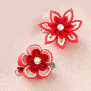 ܂ݍ׍H Ԃ̃u[` [LH-378 ()]@ypi~|[J[́@^JM@ہz