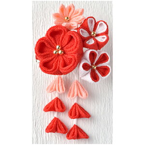 ߂܂ݍ׍H@ʉԂ̃u[`iԁj[LH-411 ()]@ypi~|[J[́@^JM@ہz