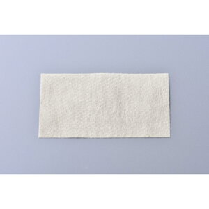 }XNpRہELV[g[AMG-400] @y}XN@Rہ@L@@ECX@ԕǁ@^JM@ہ@pi~|[J[́z