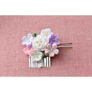 ߂܂ݍ׍H񂴂@ij[LH-454]@ypi~|[J[́@^JM@ہz