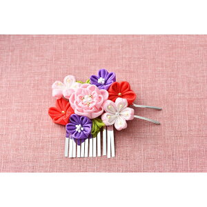 ߂܂ݍ׍H񂴂@isNj[LH-455]@ypi~|[J[́@^JM@ہz