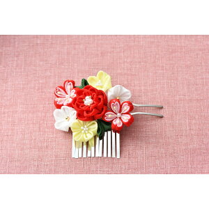 ߂܂ݍ׍H񂴂@iԁj[LH-456]@ypi~|[J[́@^JM@ہz