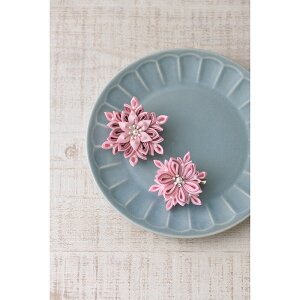 _ɂł܂ݍ׍Hu[`isNj[LH-471]@ypi~|[J[́@^JM@ہz