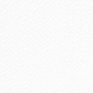 ߂En [M-1()]@ypi~|[J[́@^JM@ہz