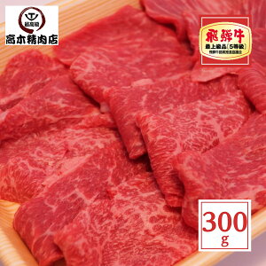 ˋ  ē 300g yz yA5z Ԑg Ԑg 򕌌 O  蕨 јa V^} C`{ v  ̓ v[g  hV̓
