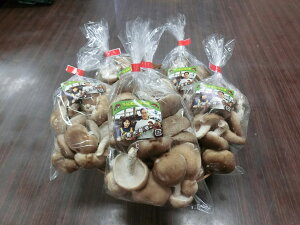 yzyYnz؂ () 150g`160g×5 TCYs ő Y ő _sgp ʔ ̏i͒i{[ł _̂HׂCO2
