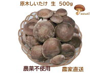 【産地直送】《脱炭素》4代70年の伝統・高橋農園 国産 原木しいたけ 500g 農薬不使用 クール便サービス …