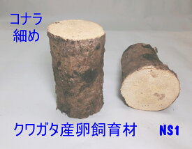 オオクワガタ 産卵木 コナラ 長さ約14cm 細、中、太 バラ売り NS1（細）、NL1（太）を組み合わせて複数本のご購入をお勧め 合計3980円以上は送料無料 【別の商品と合わせてご購入いただいた場合、合計で送料無料ラインを超えても、送料がかかる場合田あります。】