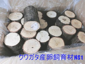 オオクワガタ 産卵木 コナラ 「細」「中」「太」の3種類 箱売り 太さによって1箱当たりの入数が違います。 朽ち木 農薬不使用 国産原木使用 長さ約14cm【約10年ぶりの販売再開！】送料別