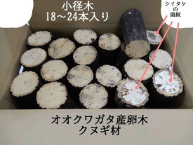 【まとめ買いでお買い得】オオクワガタ 産卵木 クヌギ 細 箱入り（18~24本）農薬不使用 国産原木 長さ約14cm、太さ7～9cm【約10年ぶりの販売再開！】【農家直送】朽ち木 飼育材 2箱まとめで1000円、3箱で2500円お買い得 KS1Box