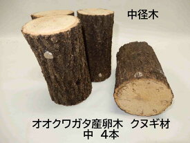 オオクワガタ 産卵木 クヌギ 中 4本入り 農薬不使用 国産原木使用 長さ約14cm、太さ9～11cm　北東北以北、関西以西の場合、別途送料（100円～）がかかります【農家直送】朽ち木 飼育材 KM104