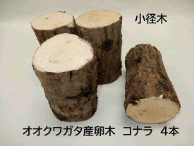 オオクワガタ 産卵木 コナラ 細 4本入り 農薬不使用 国産原木使用 長さ約14cm、太さ約7～9cm　北東北以北、関西以西の場合、別途送料（100円～）がかかります 朽木 飼育材 NS104
