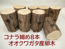 オクワガタ 産卵木 コナラ 細 8本入り 農薬不使用 国産原木使用 長さ約14cm、太さ約7～9cm　北東北以北、関西以西の場合、別途送料（100円～）がかかります　朽木 NS108