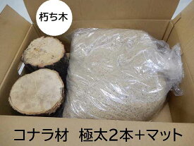 【朽木と昆虫マットのセット】オオクワガタ 産卵木 コナラ 極太2本 農薬不使用 国産原木 長さ約14cm、太さ約13cm～17cmと昆虫飼育マット約10リットル ｜北東北以北および関西以西は別途送料100円～かかります 朽ち木 NLL102+mat