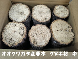 オオクワガタ 産卵木 クヌギ 細 6本入り 農薬不使用 国産原木使用 長さ約14cm、太さ約6～9cm　北東北以北、関西以西の場合、別途送料（100円～）がかかります 朽ち木 飼育材 KS106