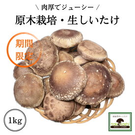 【産地直送】【特選品】4代70年の伝統・高橋農園 原木しいたけ (生椎茸）1kg 国産 厚肉椎茸 クール便サービス 遠方のみ差額送料あり ギフト お取り寄せ バーベキュー 焼き肉のお供に 農薬不使用 ジャンボシイタケ 大きい 肉厚 産地直売 通販 農家直送 期間限定セール中