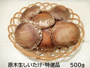y_ƒz470N̓`E_ Y ؂  Ii500g _sgp N[փT[rX VC^P ő ؒő ʔ ̏i͔AX`[   