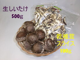 【産地直送】《脱炭素》原木 生椎茸500gと乾椎茸スライス100gのセット |国産｜原木椎茸栽培4代70年の伝統・高橋農園 ｜お勧め お取り寄せ 贈答用 ギフト お歳暮 脱炭素栽培 農薬不使用 厚肉シイタケ 通販 農家直送